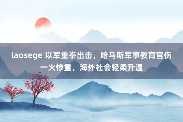 laosege 以军重拳出击，哈马斯军事教育官伤一火惨重，海外社会轻柔升温