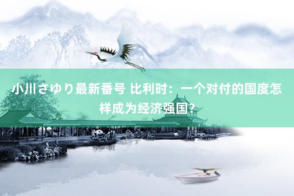 小川さゆり最新番号 比利时：一个对付的国度怎样成为经济强国？