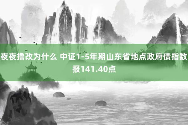 夜夜撸改为什么 中证1-5年期山东省地点政府债指数报141.40点