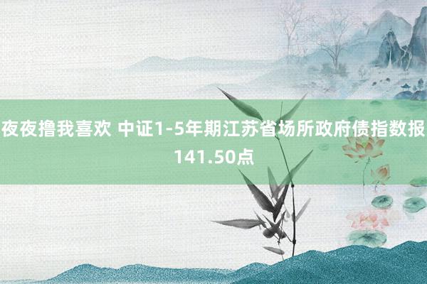 夜夜撸我喜欢 中证1-5年期江苏省场所政府债指数报141.50点