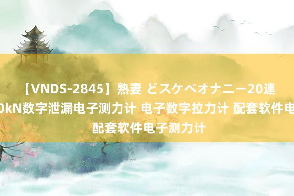 【VNDS-2845】熟妻 どスケベオナニー20連発！！ 20kN数字泄漏电子测力计 电子数字拉力计 配套软件电子测力计