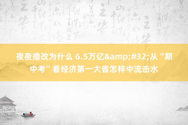 夜夜撸改为什么 6.5万亿&#32;从“期中考”看经济第一大省怎样中流击水