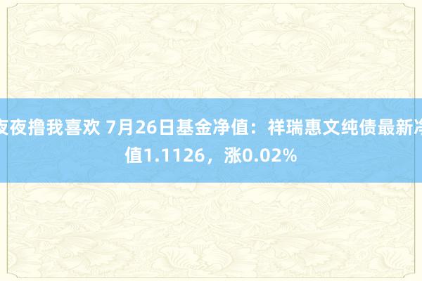 夜夜撸我喜欢 7月26日基金净值：祥瑞惠文纯债最新净值1.1126，涨0.02%