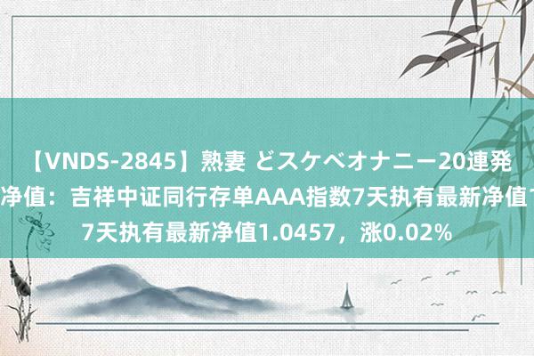 【VNDS-2845】熟妻 どスケベオナニー20連発！！ 7月26日基金净值：吉祥中证同行存单AAA指数7天执有最新净值1.0457，涨0.02%