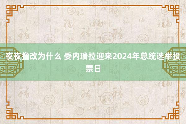 夜夜撸改为什么 委内瑞拉迎来2024年总统选举投票日