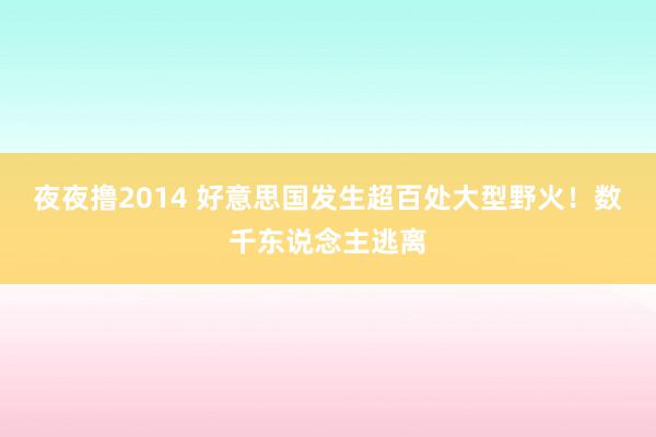 夜夜撸2014 好意思国发生超百处大型野火！数千东说念主逃离