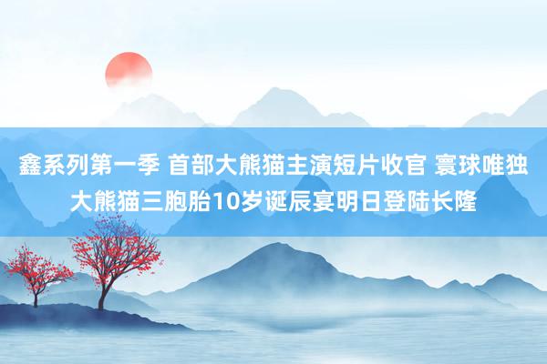 鑫系列第一季 首部大熊猫主演短片收官 寰球唯独大熊猫三胞胎10岁诞辰宴明日登陆长隆