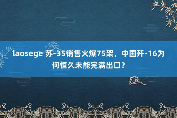 laosege 苏-35销售火爆75架，中国歼-16为何恒久未能完满出口？