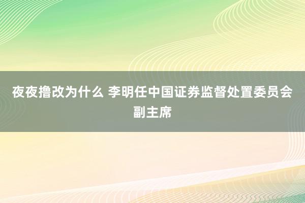 夜夜撸改为什么 李明任中国证券监督处置委员会副主席