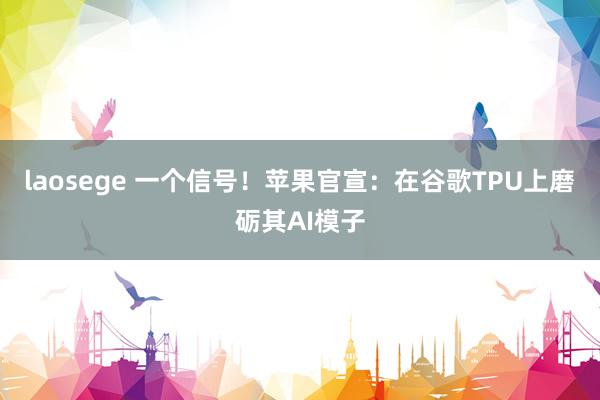 laosege 一个信号！苹果官宣：在谷歌TPU上磨砺其AI模子