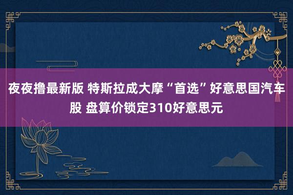 夜夜撸最新版 特斯拉成大摩“首选”好意思国汽车股 盘算价锁定310好意思元