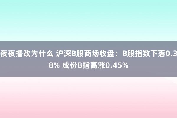 夜夜撸改为什么 沪深B股商场收盘：B股指数下落0.38% 成份B指高涨0.45%