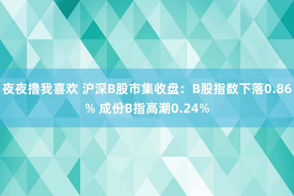 夜夜撸我喜欢 沪深B股市集收盘：B股指数下落0.86% 成份B指高潮0.24%