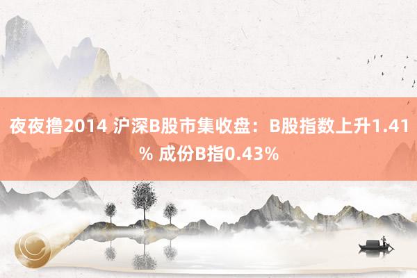 夜夜撸2014 沪深B股市集收盘：B股指数上升1.41% 成份B指0.43%