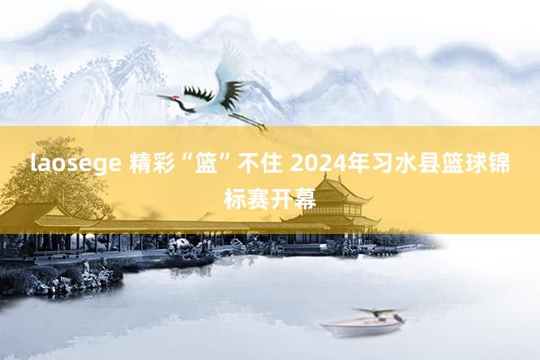 laosege 精彩“篮”不住 2024年习水县篮球锦标赛开幕