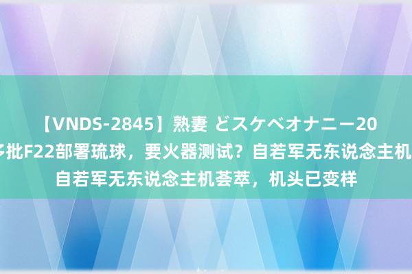 【VNDS-2845】熟妻 どスケベオナニー20連発！！ 好意思多批F22部署琉球，要火器测试？自若军无东说念主机荟萃，机头已变样