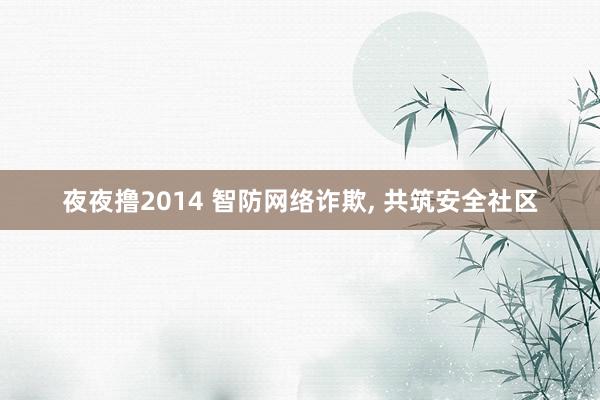 夜夜撸2014 智防网络诈欺, 共筑安全社区