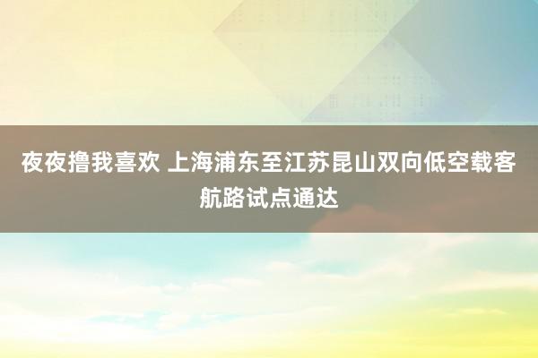 夜夜撸我喜欢 上海浦东至江苏昆山双向低空载客航路试点通达