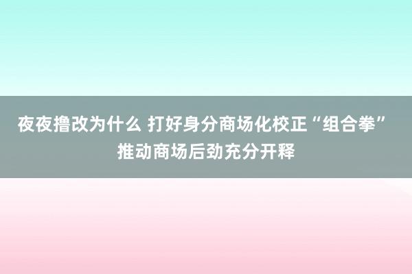 夜夜撸改为什么 打好身分商场化校正“组合拳” 推动商场后劲充分开释