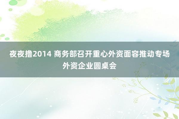 夜夜撸2014 商务部召开重心外资面容推动专场外资企业圆桌会