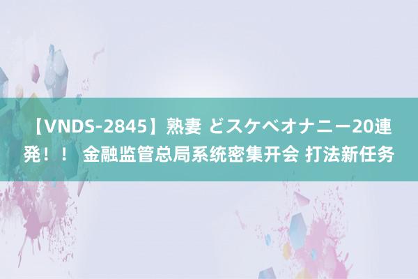 【VNDS-2845】熟妻 どスケベオナニー20連発！！ 金融监管总局系统密集开会 打法新任务