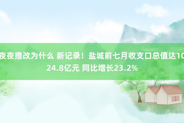 夜夜撸改为什么 新记录！盐城前七月收支口总值达1024.8亿元 同比增长23.2%