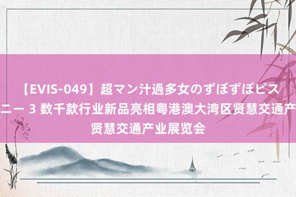 【EVIS-049】超マン汁過多女のずぼずぼピストンオナニー 3 数千款行业新品亮相粤港澳大湾区贤慧交通产业展览会