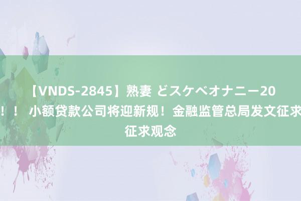 【VNDS-2845】熟妻 どスケベオナニー20連発！！ 小额贷款公司将迎新规！金融监管总局发文征求观念