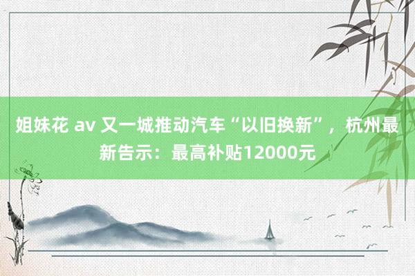 姐妹花 av 又一城推动汽车“以旧换新”，杭州最新告示：最高补贴12000元