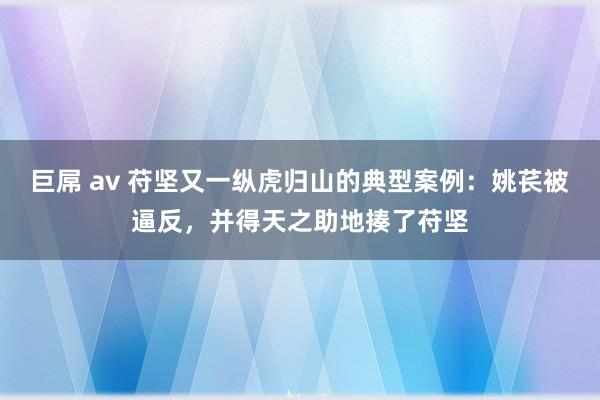 巨屌 av 苻坚又一纵虎归山的典型案例：姚苌被逼反，并得天之助地揍了苻坚