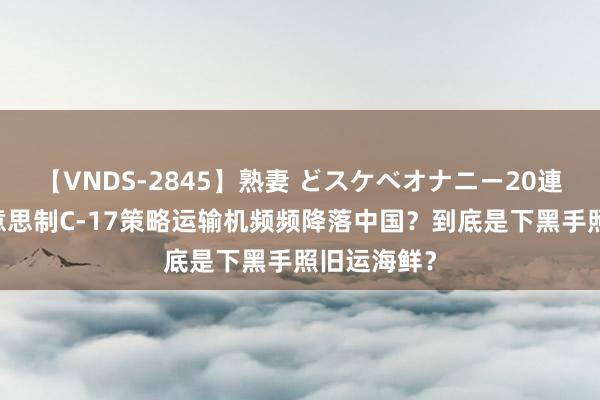 【VNDS-2845】熟妻 どスケベオナニー20連発！！ 好意思制C-17策略运输机频频降落中国？到底是下黑手照旧运海鲜？